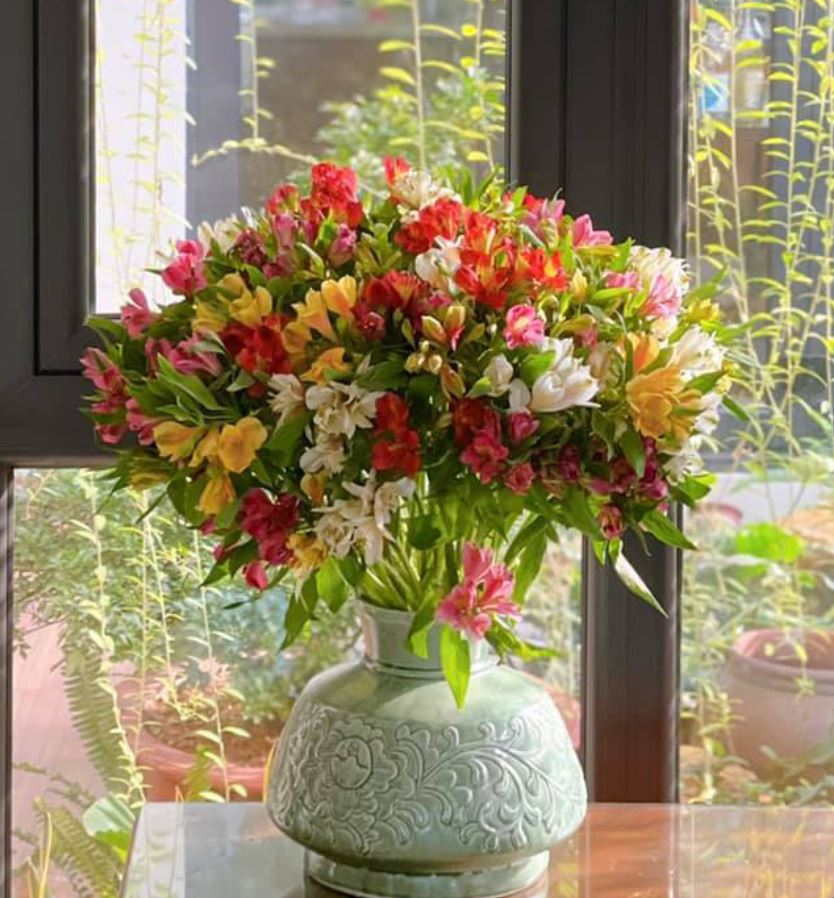 &Yacute; nghĩa phong thuỷ của c&acirc;y Hoa Thủy Ti&ecirc;n&nbsp;